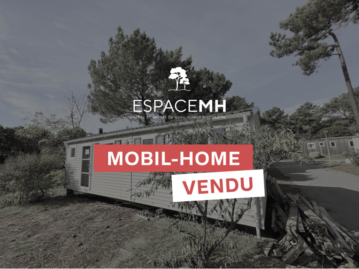 RAPIDHOME LO83 (P10)