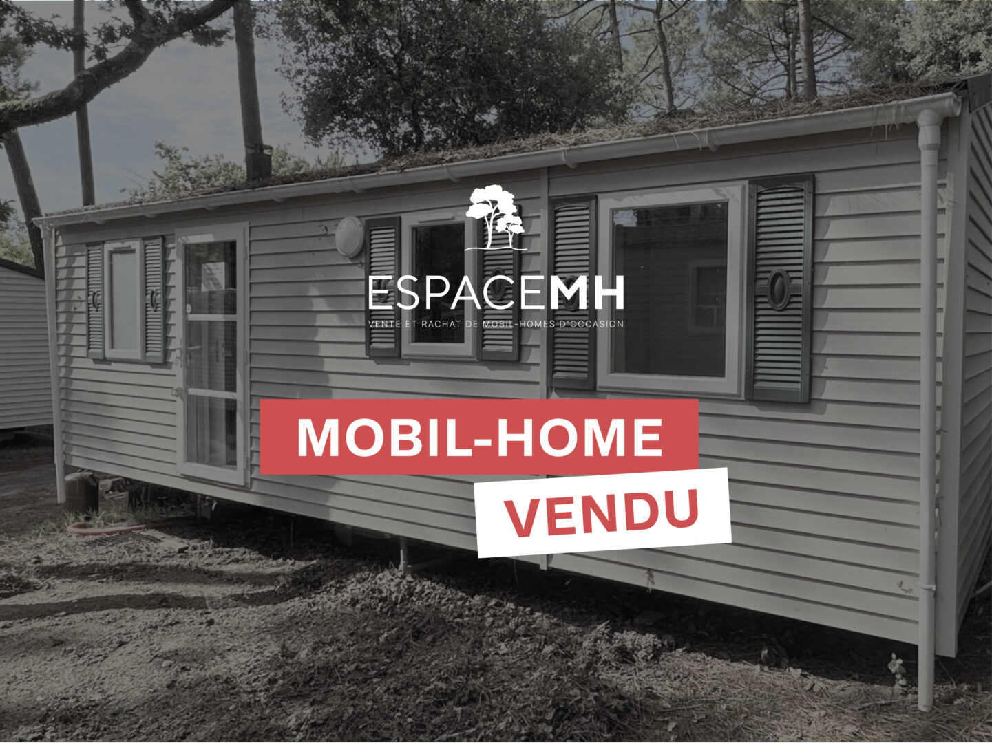 RAPIDHOME LO73 (P14)