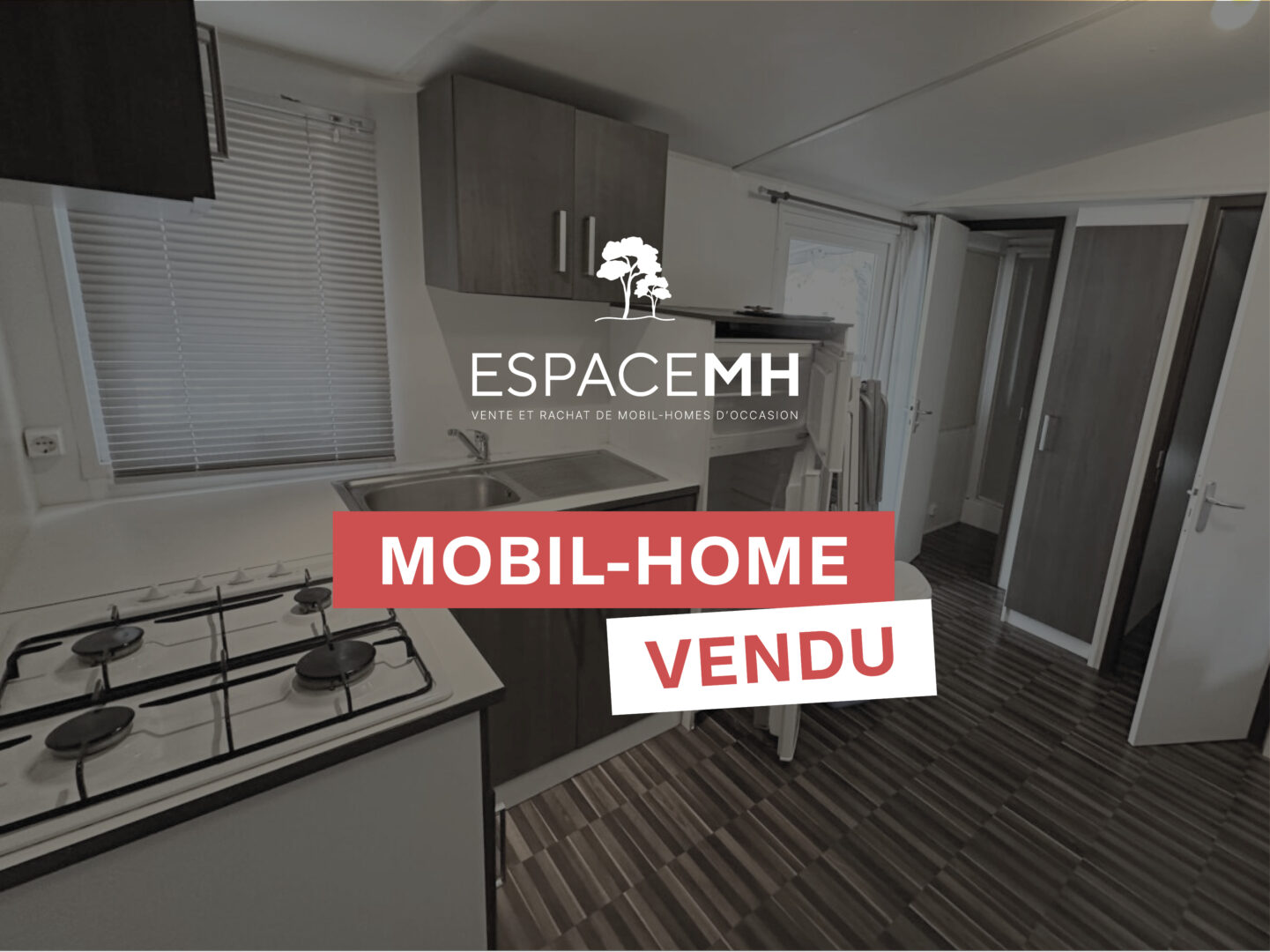 RAPIDHOME LO73 (Y17)